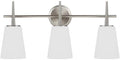 Sea Gull Lighting 4440403-962 Driscoll Three Light Wall / Bath Vanity Style Lights, Brushed Nickel Finish