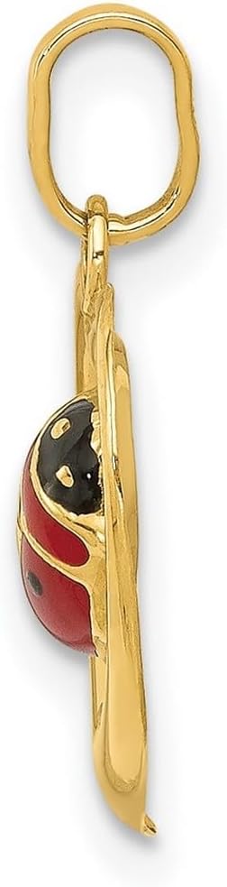JewelryWeb 14k Yellow Gold Polished Enameled Ladybug In Love Heart Charm 18.5x14.5mm Pendant Necklace for Women