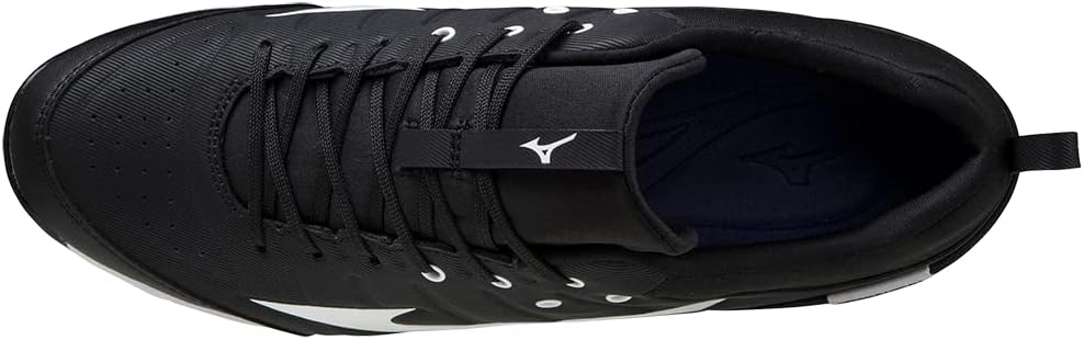 Mizuno Men's 9-Spike Ambition 2 Baseball Shoe