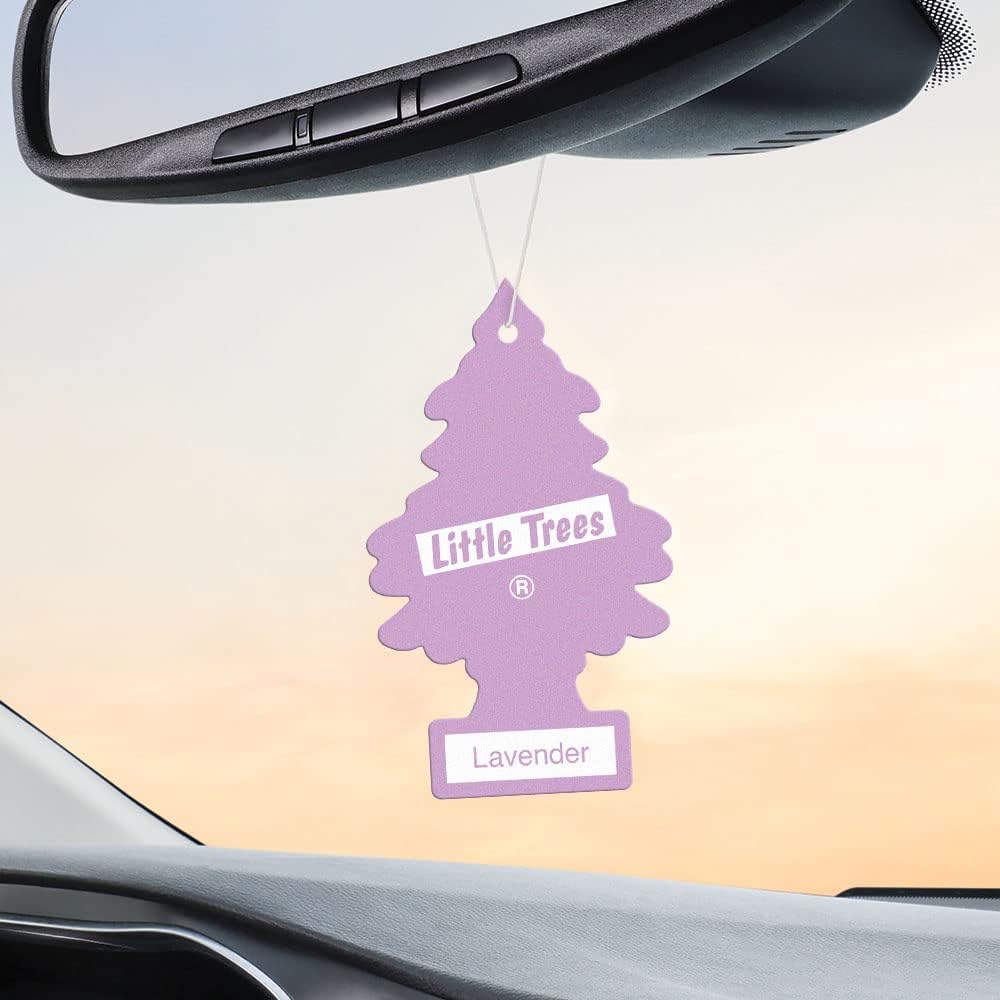 LITTLE TREES Air Fresheners Car Air Freshener. Hanging Tree Provides Long Lasting Scent for Auto or Home. Lavender, 24 Airs Fresheners (Pack of 6)