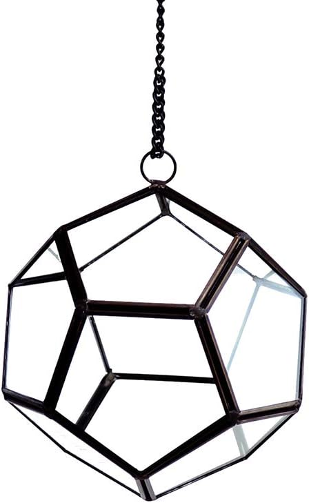 WGV Hanging Geometric Planter Terrarium Bulk Width 5.5' Height 6' Clear Glass Black Frame DIY Succulent air Plant Miniature Fairy Garden Windowsill Decor Globe 12 Pieces