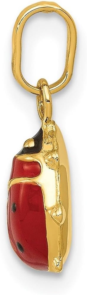 JewelryWeb 14k Yellow Gold Polished Enameled Ladybug Charm 10x6mm Pendant Necklace for Women