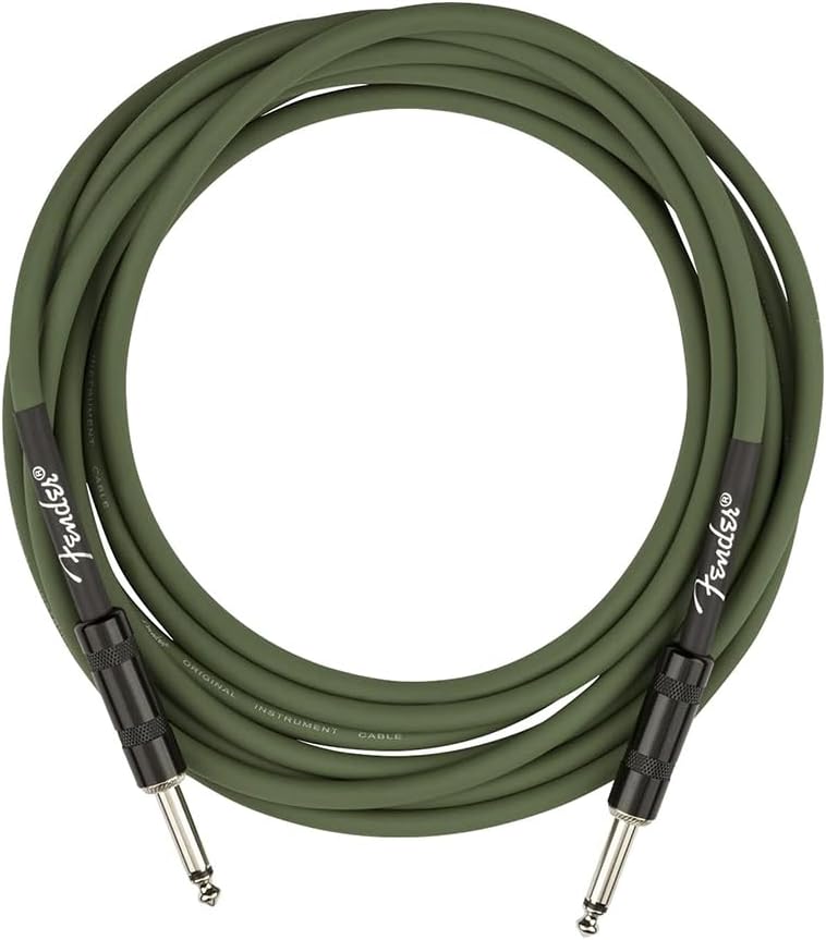 Fender Frontman 10G Guitar Amplifier (2311000000) Bundle with Fender 13ft Straight/Straight Joe Strummer Instrument Cable (Drab Green)