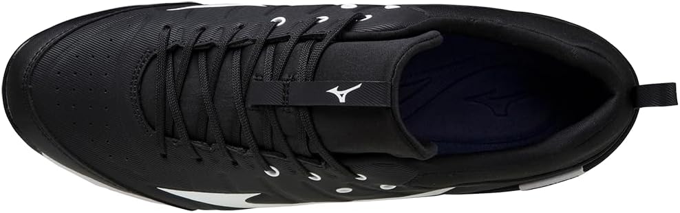 Mizuno Men's 9-Spike Ambition 2 Baseball Shoe