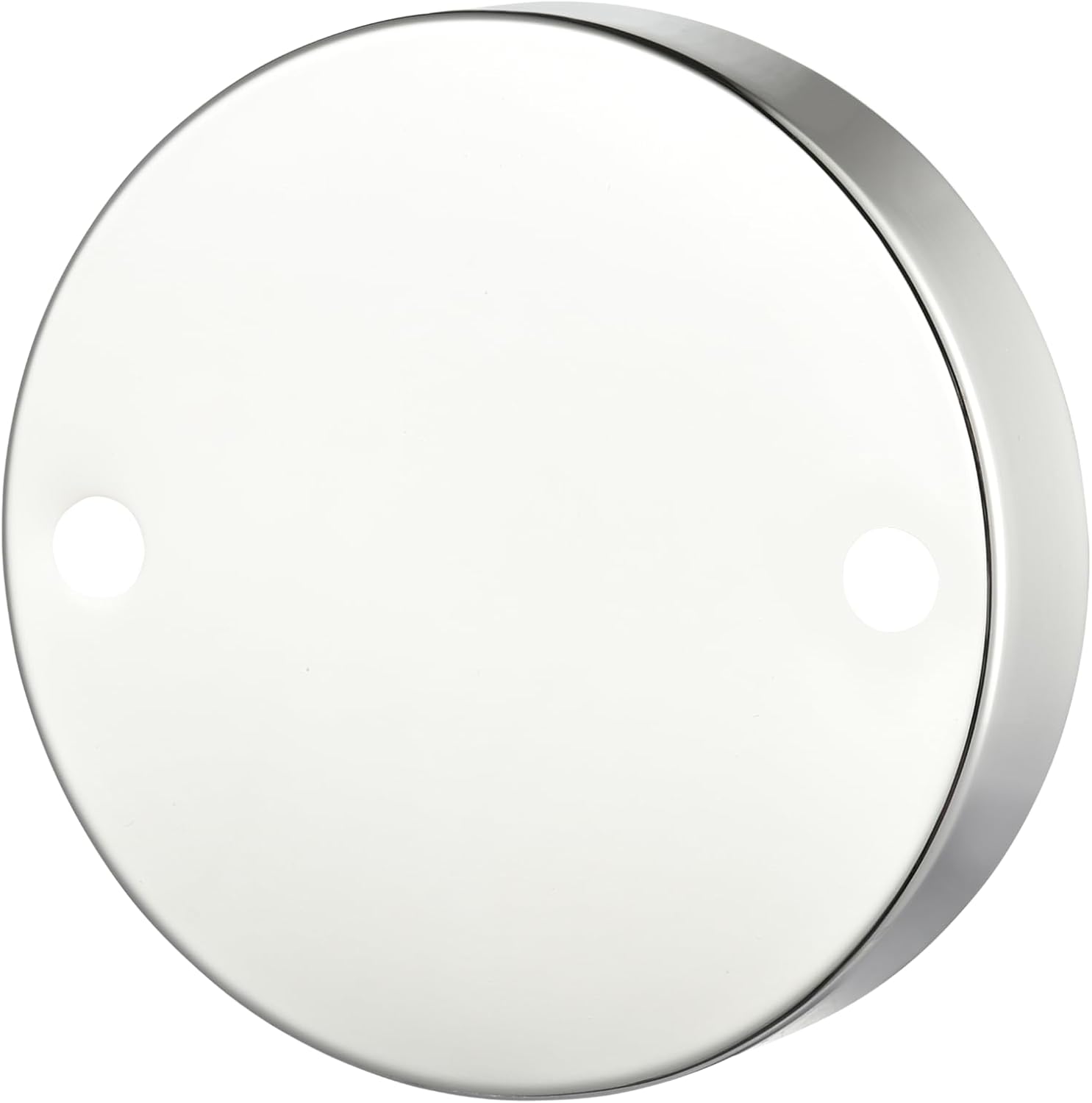 ML Lighting 21004-PN Camellia 30.75' Wide 4-Light Vanity - Polished Nickel