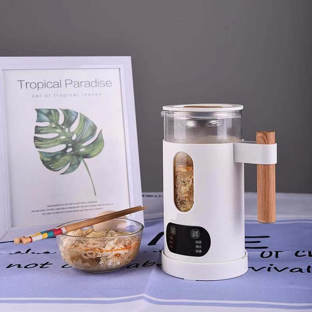 HBJWOV Travel Multi-function Electric Kettle Preserving Pot Glass Boiled Tea Pot Hot Water Bottle Warm Kettle