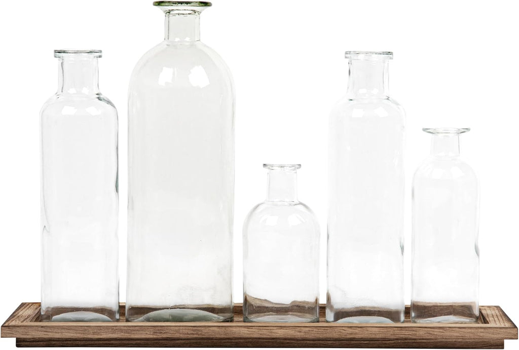Creative Co-Op Set of 5 Vintage Bottle Vases on Wood Tray