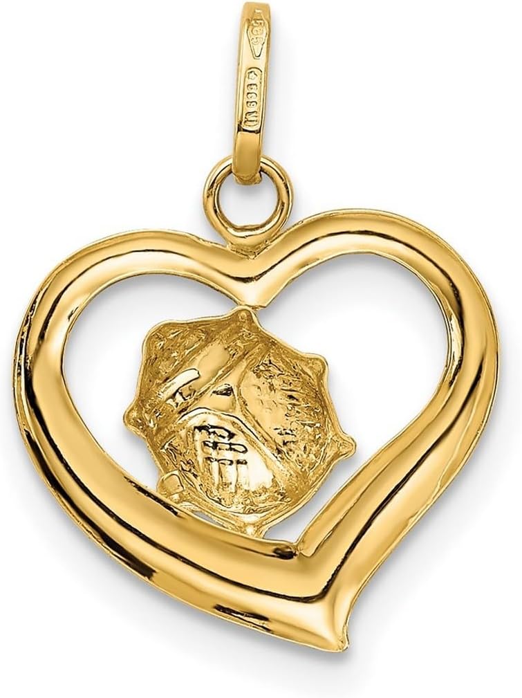 JewelryWeb 14k Yellow Gold Polished Enameled Ladybug In Love Heart Charm 18.5x14.5mm Pendant Necklace for Women