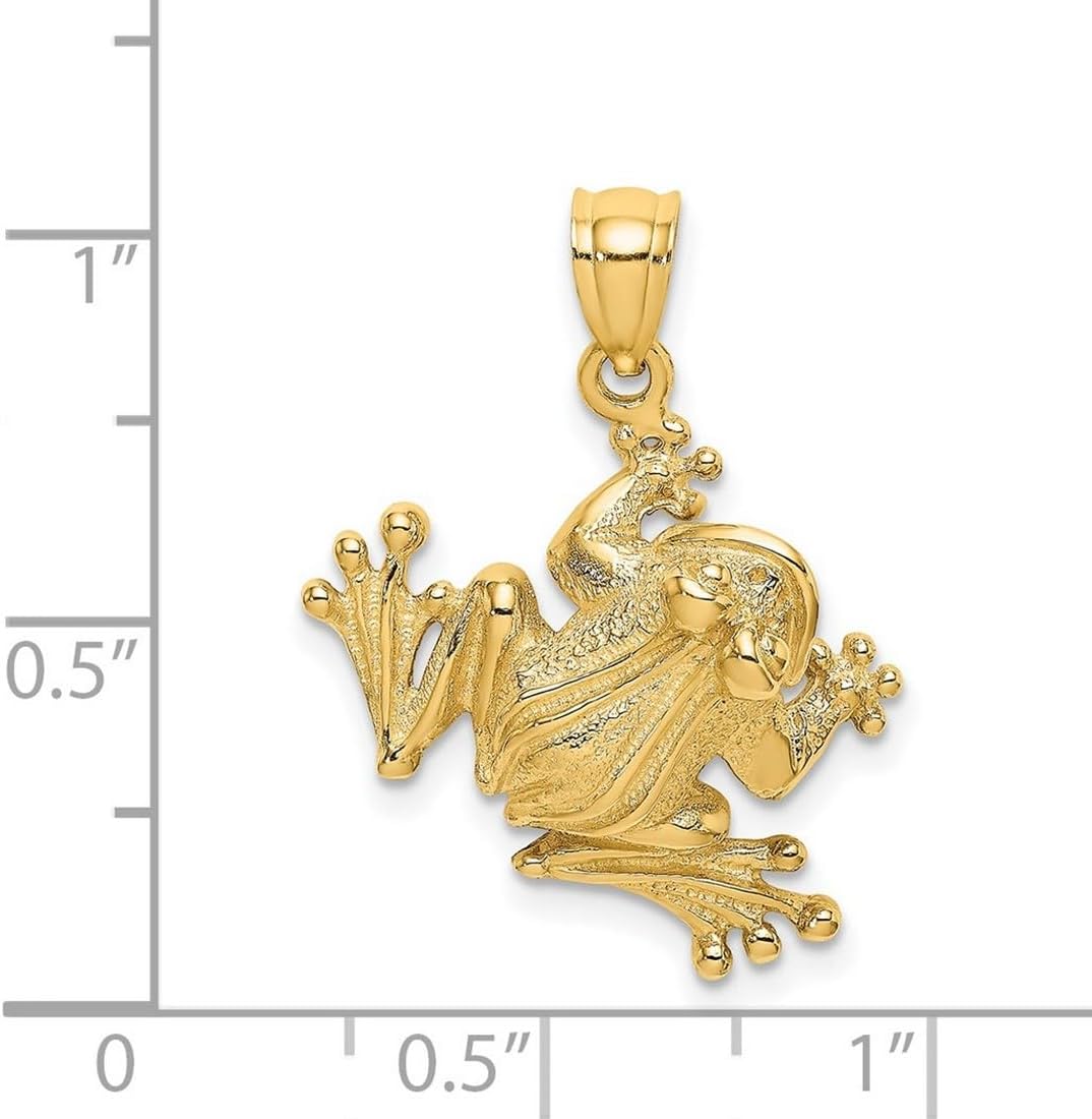 JewelryWeb 14k Gold Bug Eyed Frog Sitting 2- Charm 27.5x16.8mm Wide Pendant Necklace for Women