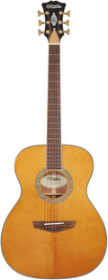 D'Angelico 6 String Acoustic-Electric Guitar, Right, Ocean Turquoise (DAEOMXTVNATGP)