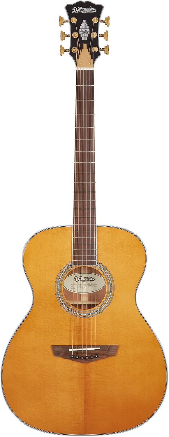 D'Angelico 6 String Acoustic-Electric Guitar, Right, Ocean Turquoise (DAEOMXTVNATGP)