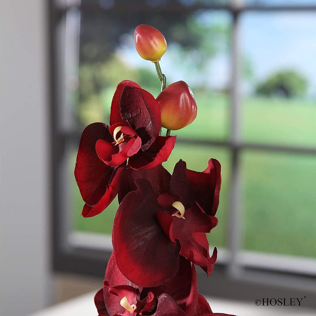 Hosley Set of 144 Bulk Pack Farmhouse Orchid Phalaenopsis Artificial Flowers 28' Long - Burgandy. Great for Use Vases, for Home, Wedding, Spa & Special Occasions