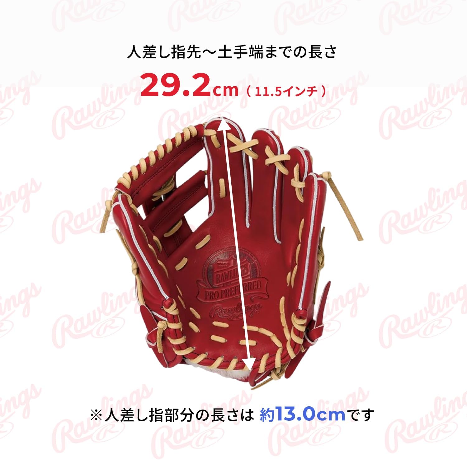 Rawlings GH6PRNP6FS
