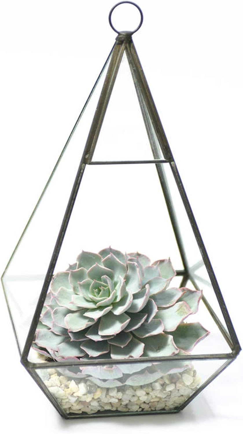WGV Hanging Geometric Planter Terrarium Bulk Width 5' Height 9.5' Clear Glass Black Frame DIY Succulent air Plant Miniature Fairy Garden Windowsill Decor Raised Tall Pyramid 9 Pieces