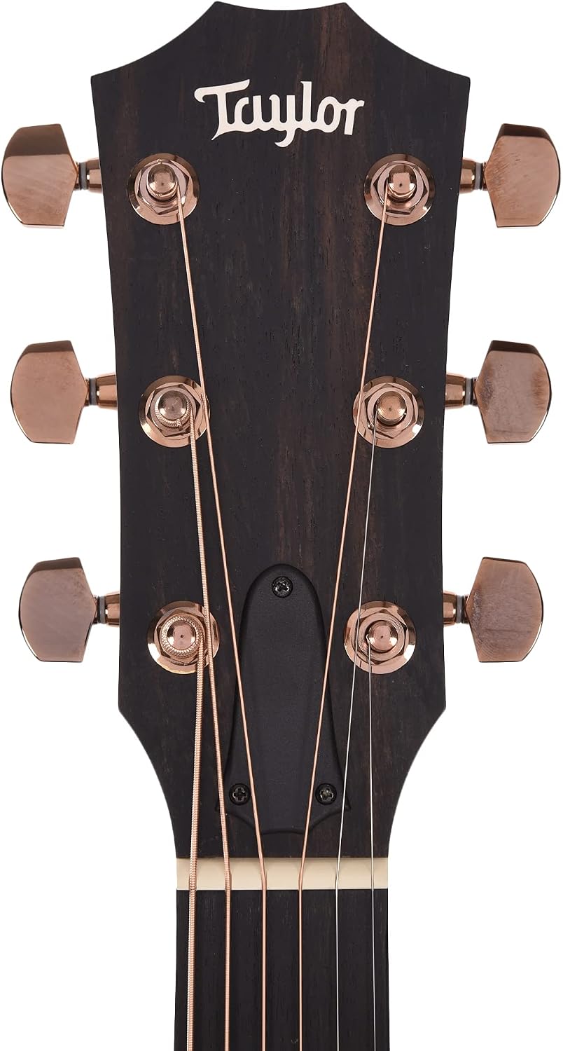 Taylor 224ce-K DLX Acoustic-electric Guitar - Shaded Edgeburst with Layered Koa Back & Sides