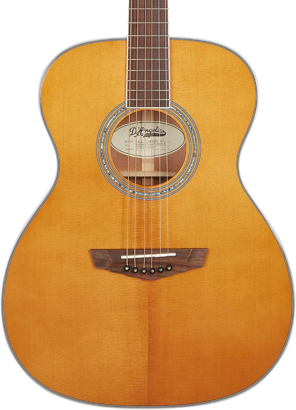 D'Angelico 6 String Acoustic-Electric Guitar, Right, Ocean Turquoise (DAEOMXTVNATGP)