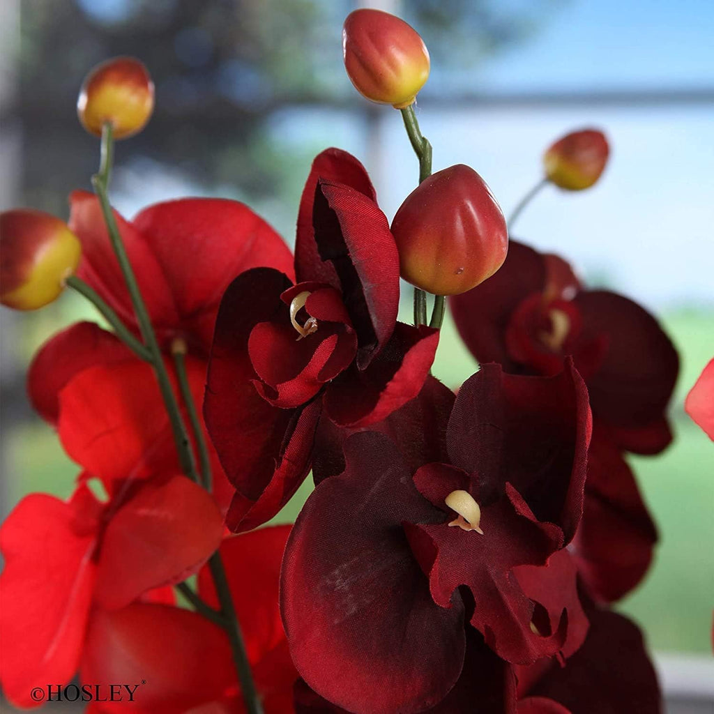 Hosley Set of 144 Bulk Pack Farmhouse Orchid Phalaenopsis Artificial Flowers 28' Long - Burgandy. Great for Use Vases, for Home, Wedding, Spa & Special Occasions