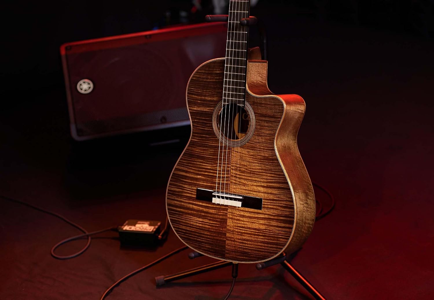 Cordoba Fusion 12 Nylon Guitar Cinnamon Burst