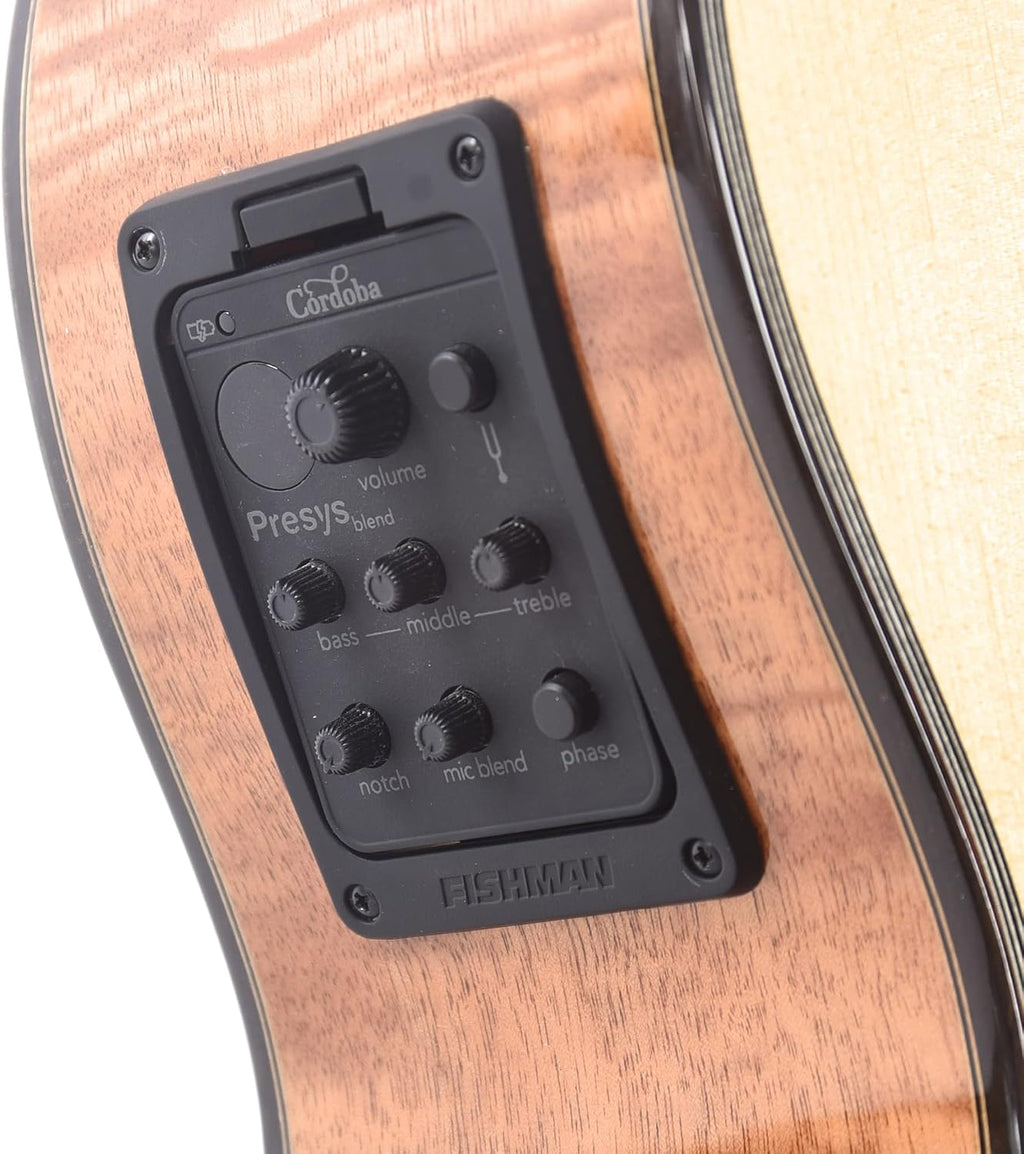 Cordoba Fusion 14 Maple Nylon String AE Guitar