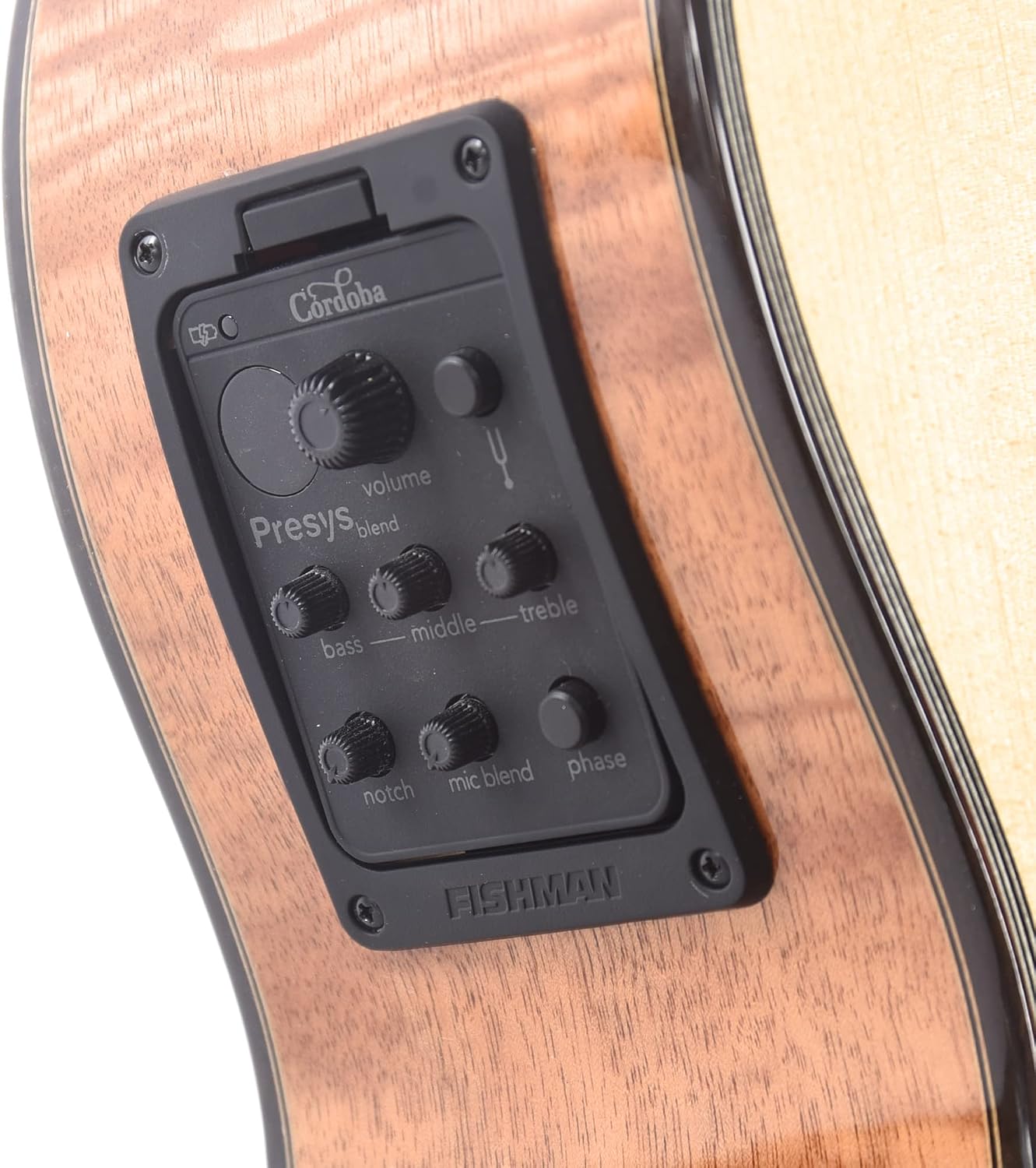 Cordoba Fusion 14 Maple Nylon String AE Guitar