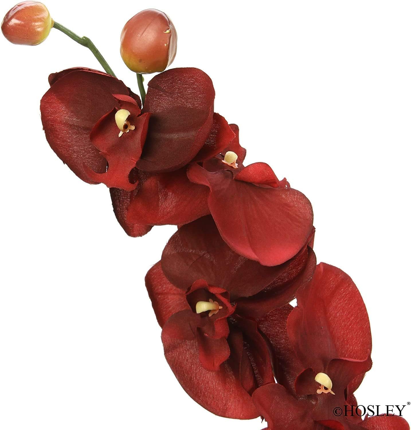 Hosley Set of 144 Bulk Pack Farmhouse Orchid Phalaenopsis Artificial Flowers 28' Long - Burgandy. Great for Use Vases, for Home, Wedding, Spa & Special Occasions