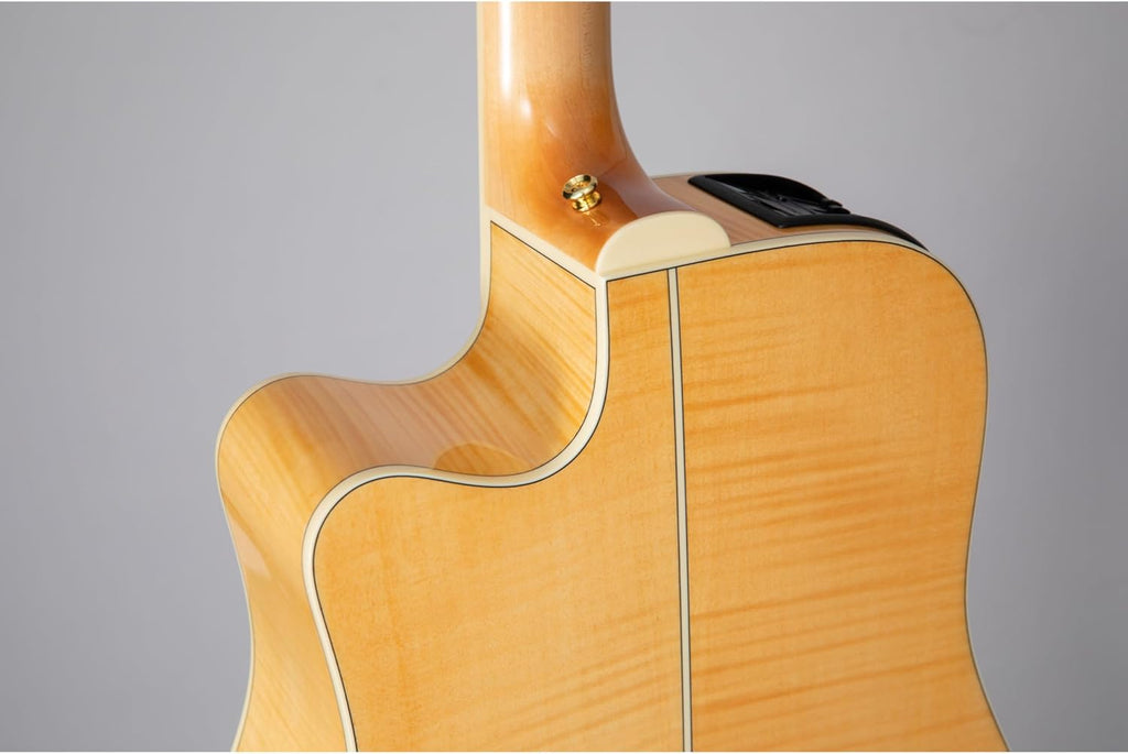 Takamine GD74CE Unison 12-string Acoustic-electric Guitar - Natural