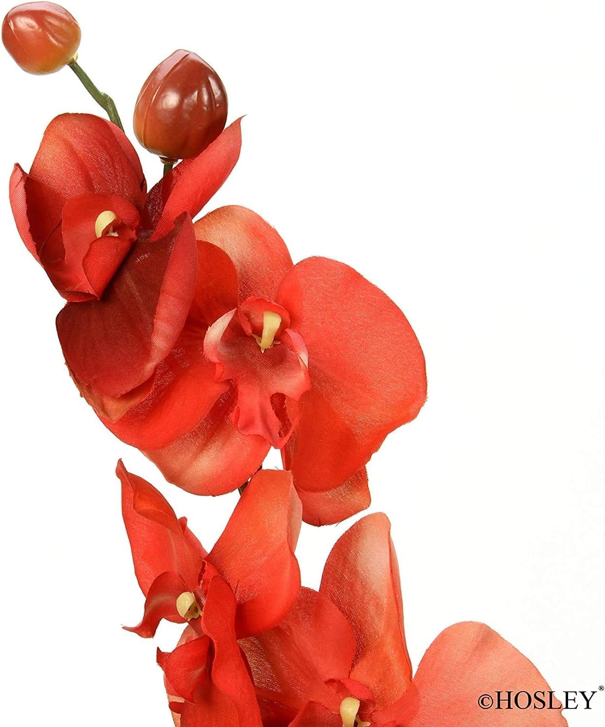 Hosley 144 Pack Artificial Phalaenopsis Orchids – 28' Tall Salmon Fake Orchid Stems for Vases, Wedding Centerpieces, Farmhouse & Home Décor, Office Displays & Flower Arrangements