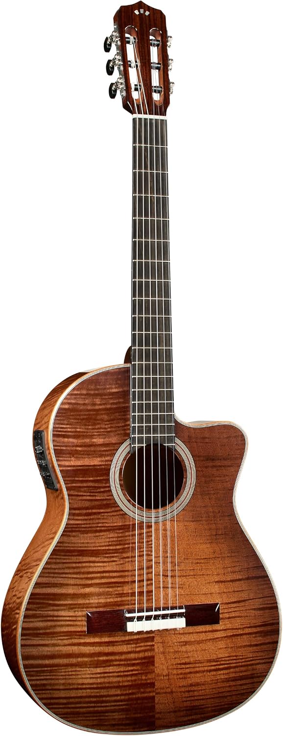 Cordoba Fusion 12 Nylon Guitar Cinnamon Burst