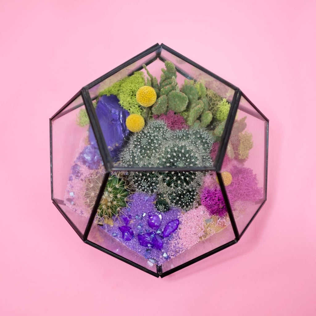 WGV Hanging Geometric Planter Terrarium Bulk Width 5.5' Height 6' Clear Glass Black Frame DIY Succulent air Plant Miniature Fairy Garden Windowsill Decor Globe 12 Pieces