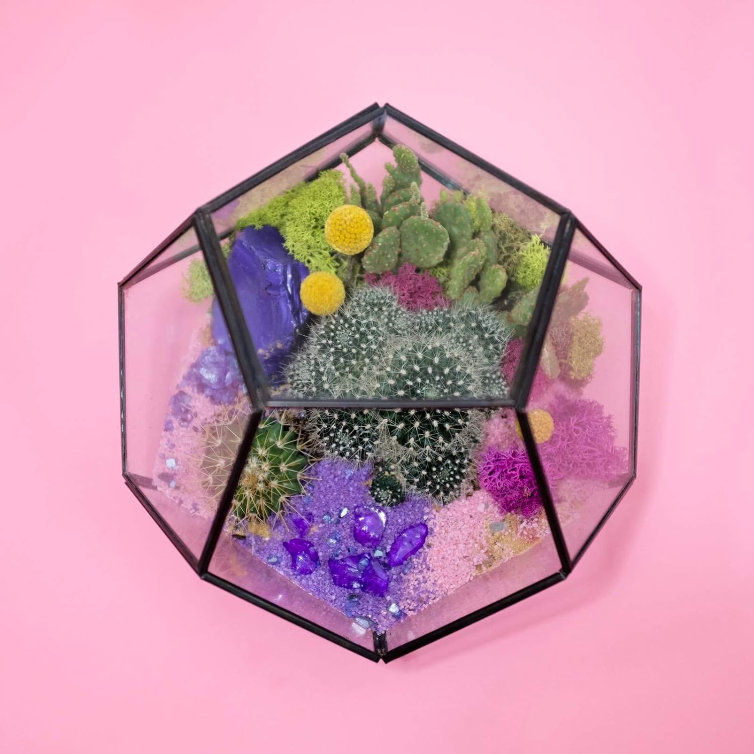 WGV Hanging Geometric Planter Terrarium Bulk Width 5.5' Height 6' Clear Glass Black Frame DIY Succulent air Plant Miniature Fairy Garden Windowsill Decor Globe 12 Pieces