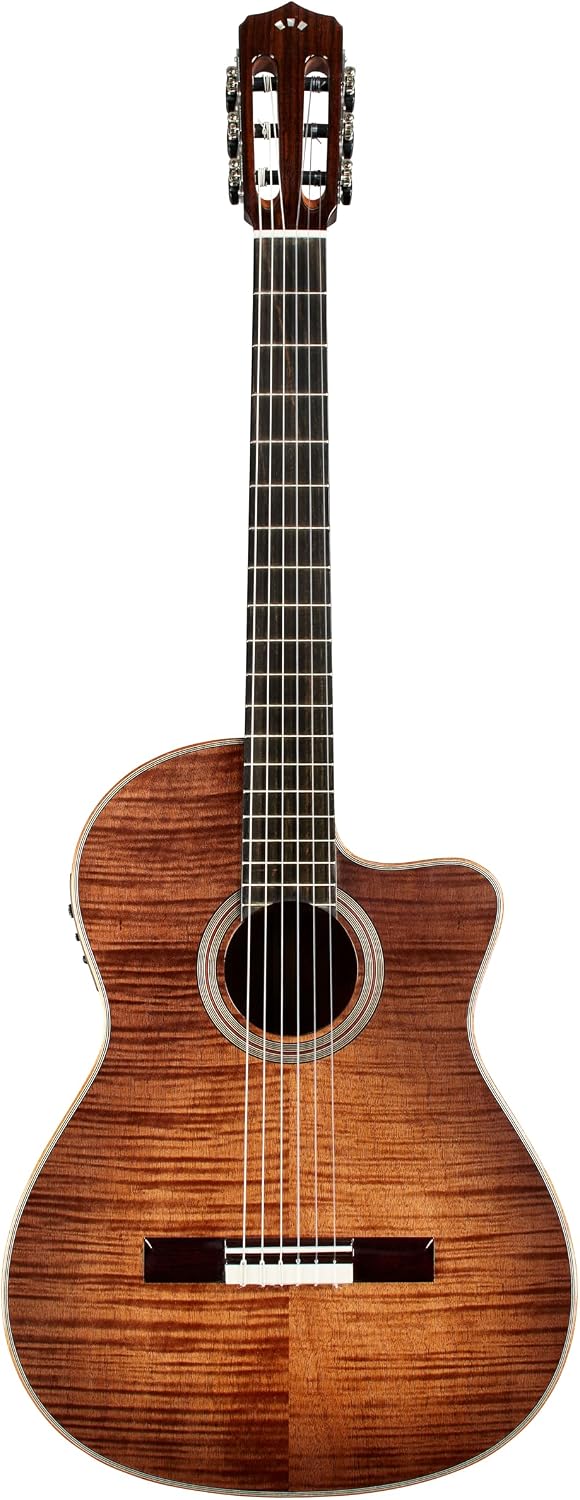Cordoba Fusion 12 Nylon Guitar Cinnamon Burst