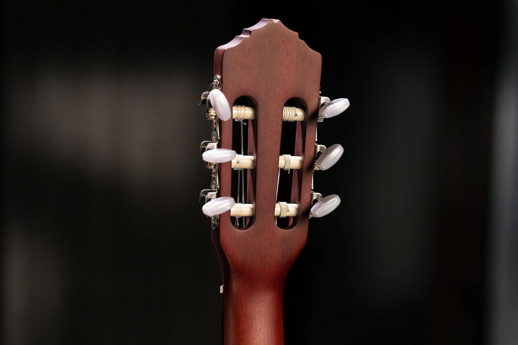 Family Series Thinline Acoustic-Electric Nylon Classical 6-String Guitar w/Bag