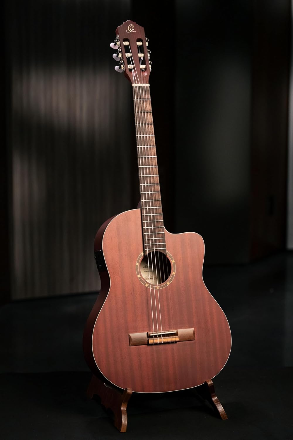 Family Series Thinline Acoustic-Electric Nylon Classical 6-String Guitar w/Bag