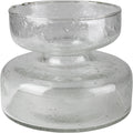 Seeded Glass Amaryllis Bulb Vase