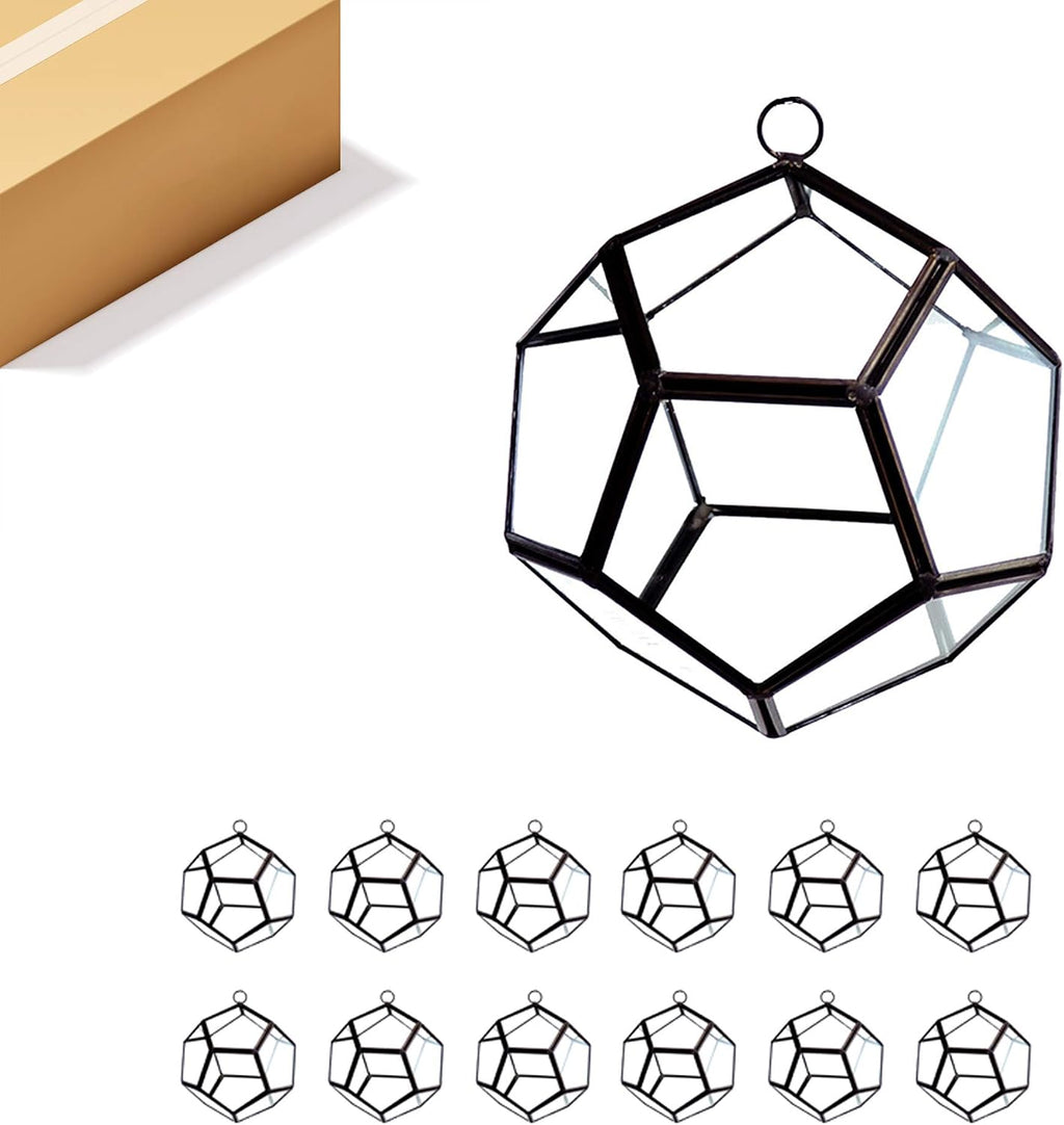 WGV Hanging Geometric Planter Terrarium Bulk Width 5.5' Height 6' Clear Glass Black Frame DIY Succulent air Plant Miniature Fairy Garden Windowsill Decor Globe 12 Pieces