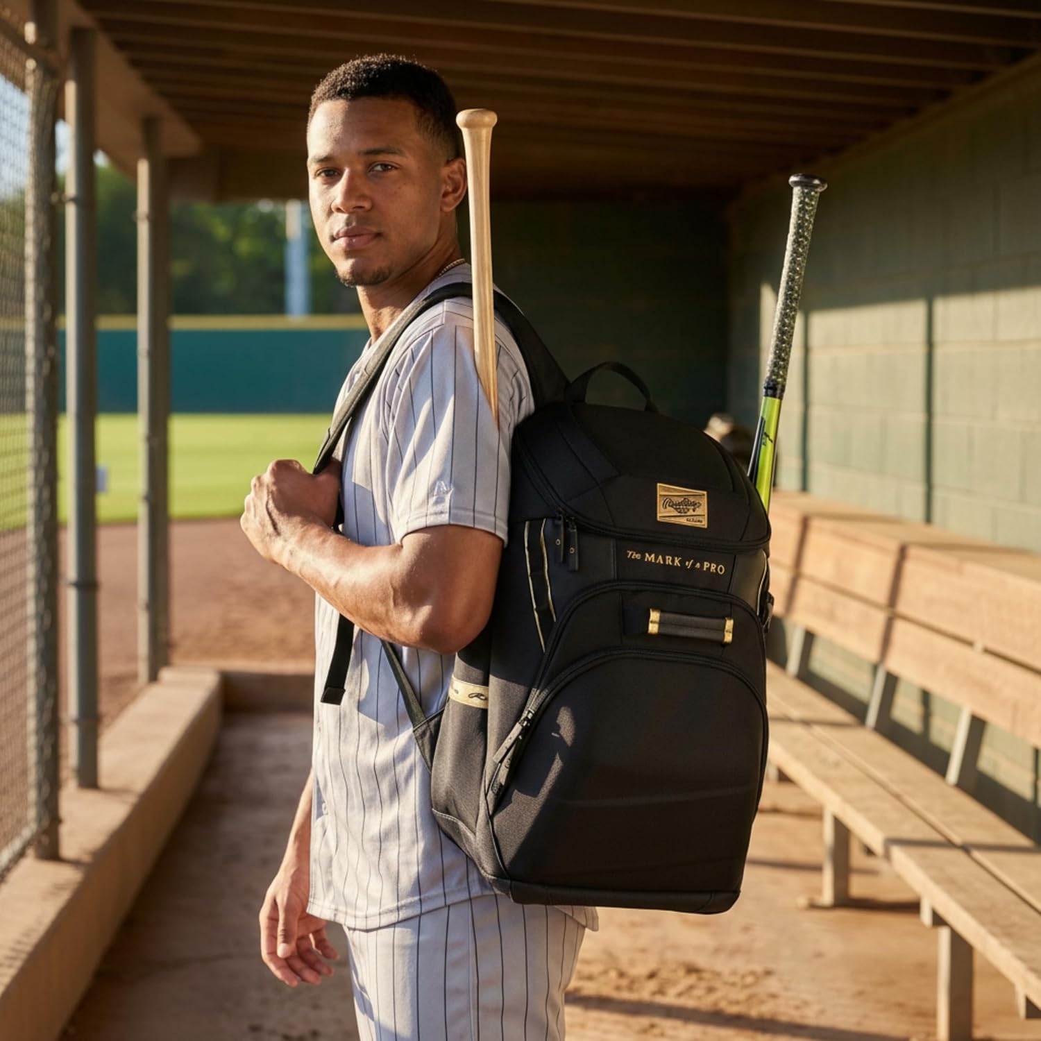 Rawlings | Gold Collection Backpack Equipment Bag | Baseball/Softball | Multiple Colors