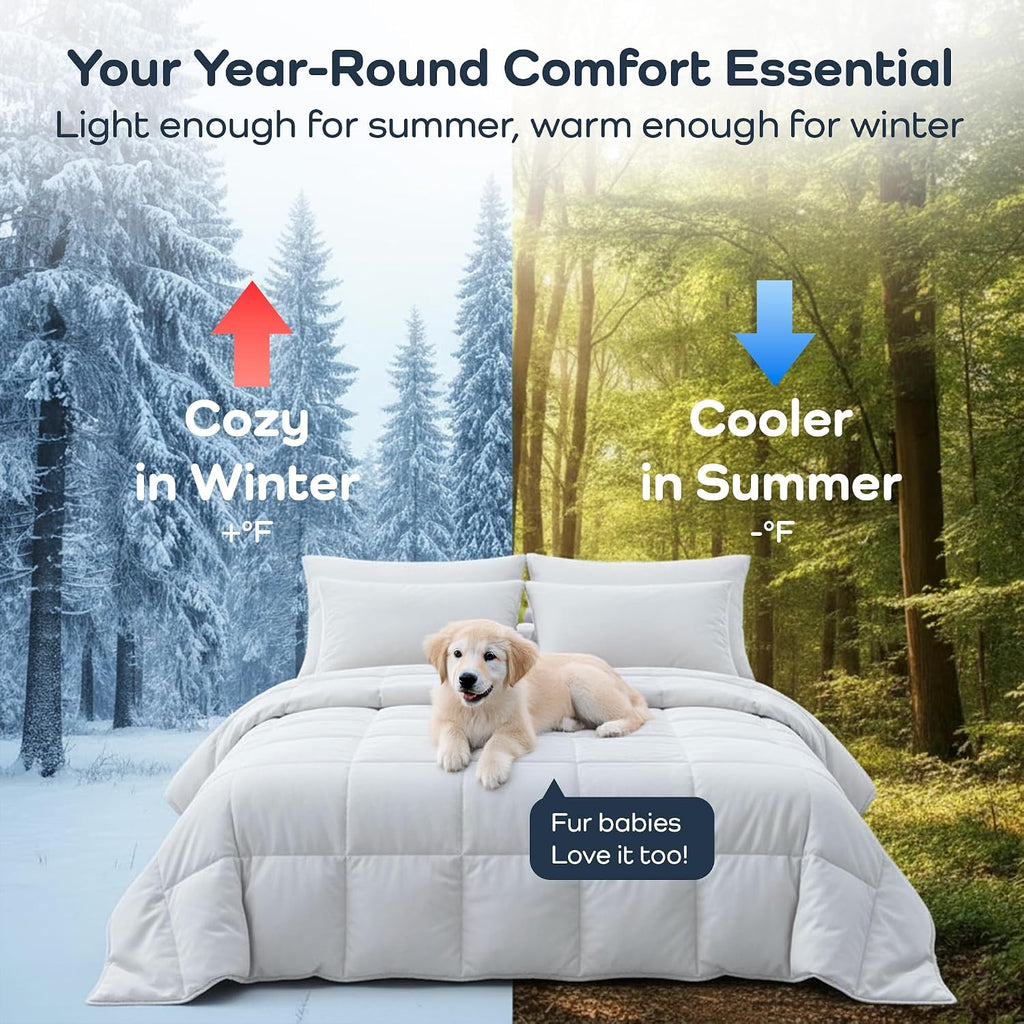 Olive + Crate Cooling Pillow Cases Bundle with Queen Size Comforter, Moisture Wicking, Temperature Regulating, Cooling Duvet Insert, Smooth Sateen Weave (30' x 20')