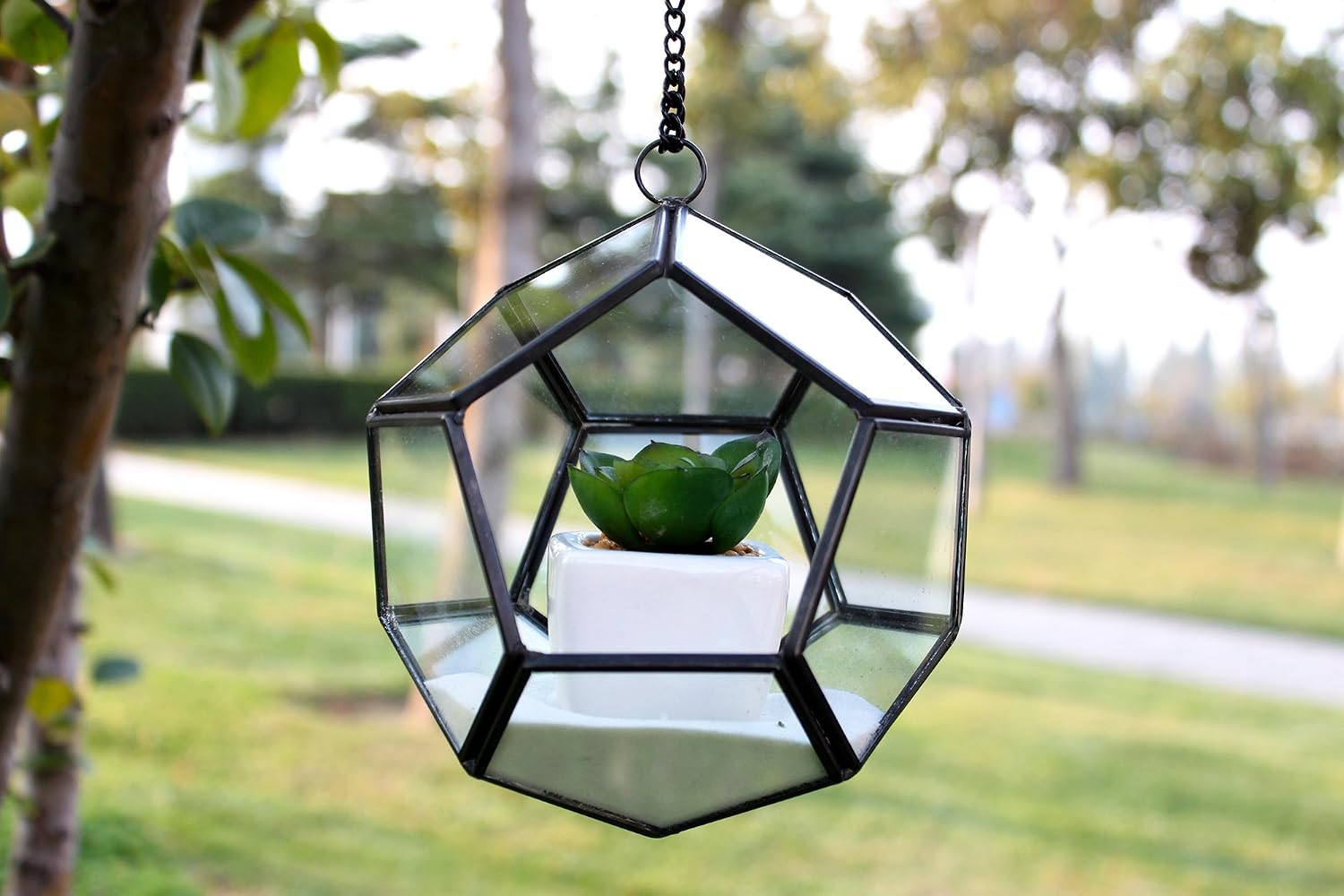 WGV Hanging Geometric Planter Terrarium Bulk Width 5.5' Height 6' Clear Glass Black Frame DIY Succulent air Plant Miniature Fairy Garden Windowsill Decor Globe 12 Pieces