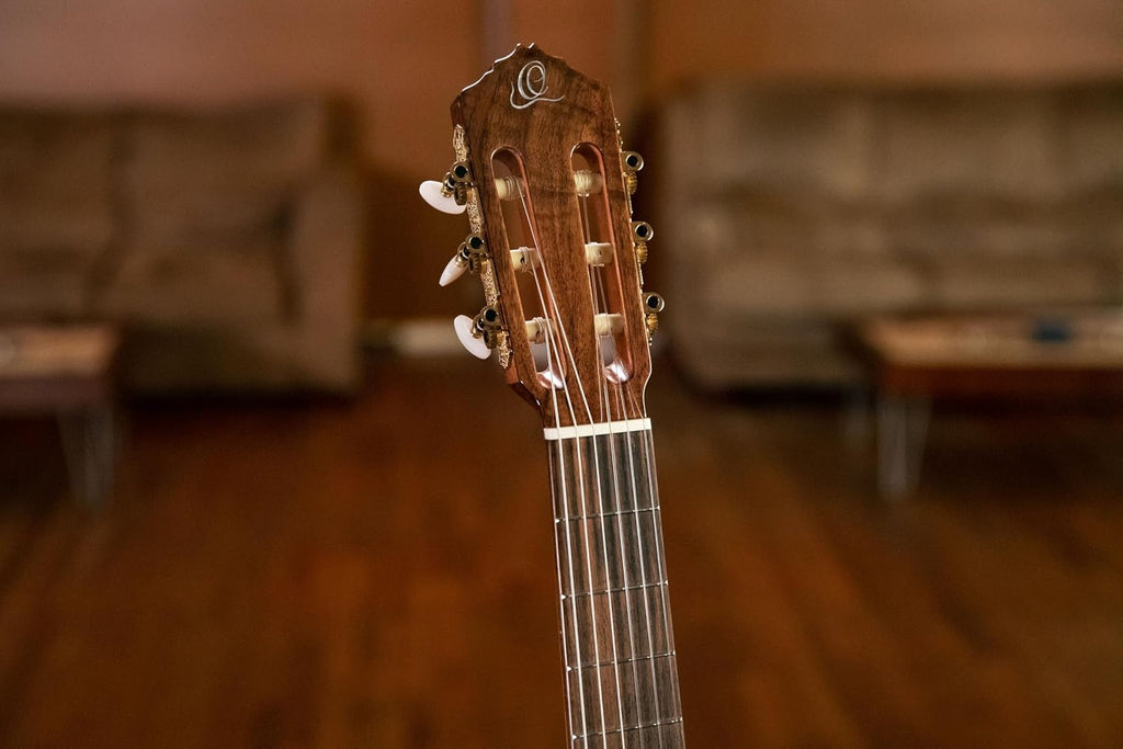 Performer Series Solid Top Medium Neck Acoustic-Electric Nylon Classical Guitar w/Bag