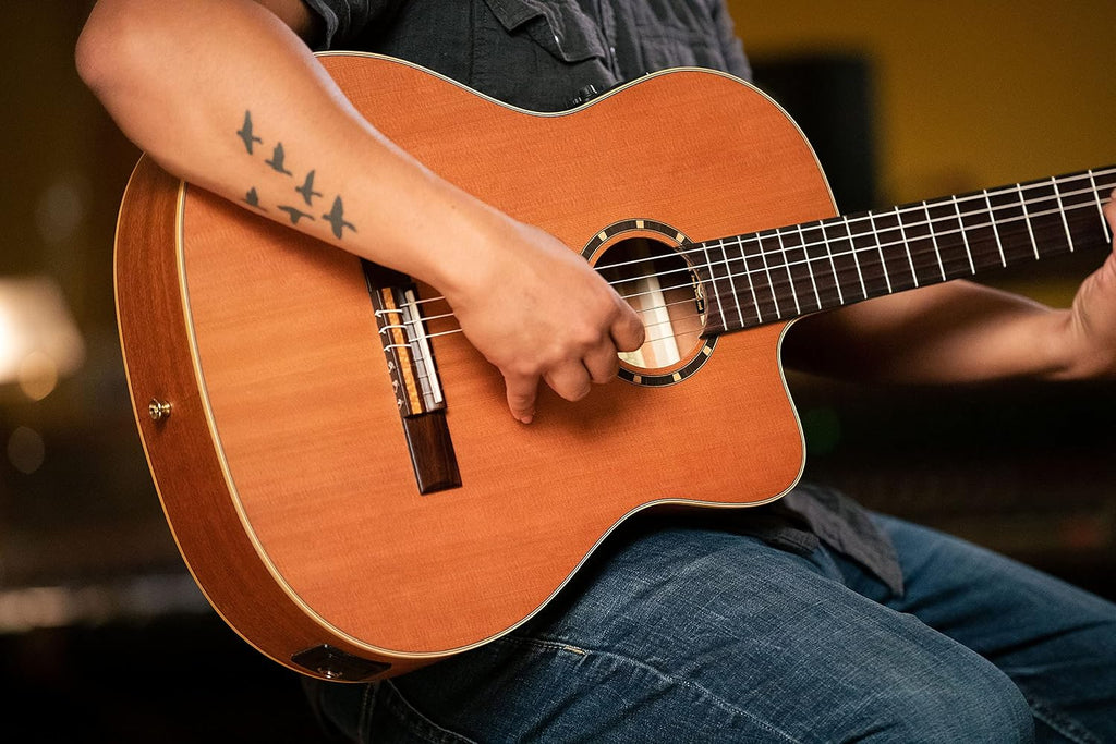 Family Series Pro Solid Top Slim Neck Acoustic-Electric Nylon Classical Guitar w/Bag