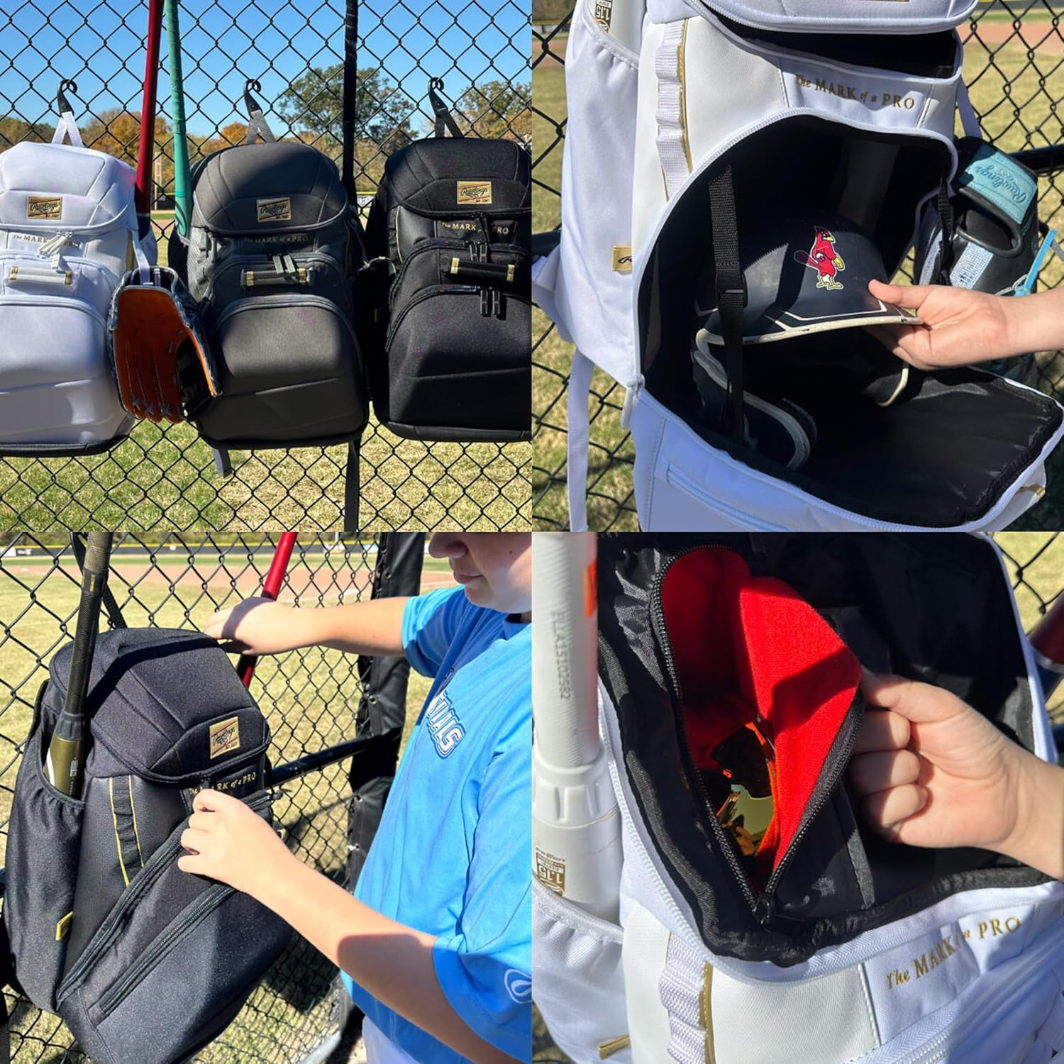 Rawlings | Gold Collection Backpack Equipment Bag | Baseball/Softball | Multiple Colors