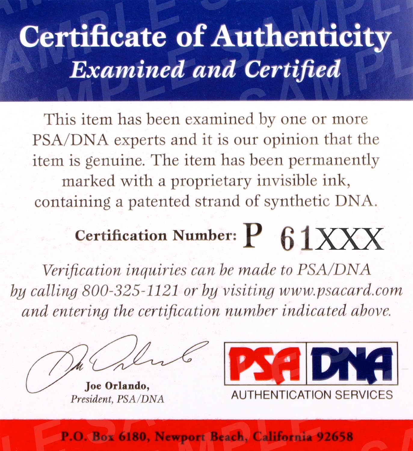 Mike Piazza La Dodgers Rookie Era Signed Auto Game Used Vintage Onl Baseball Psa - MLB Game Used Baseballs