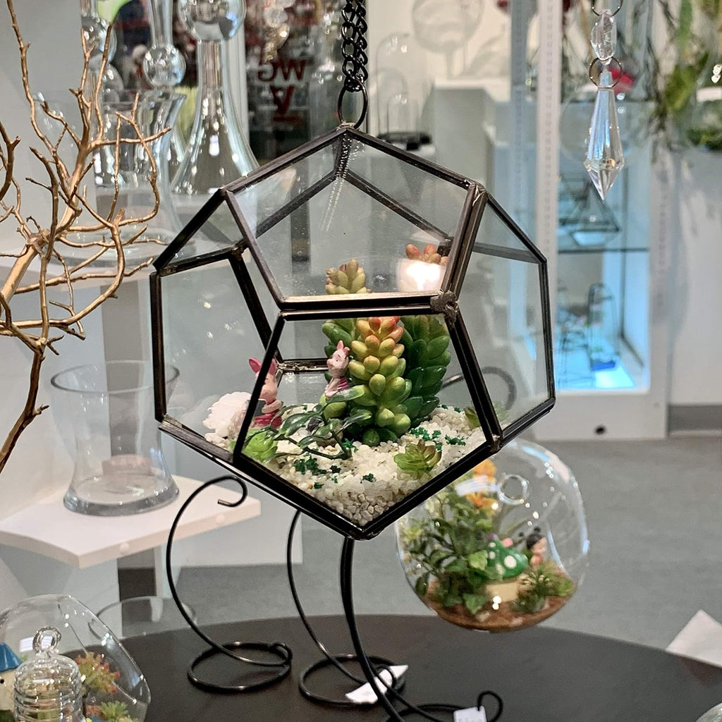 WGV Hanging Geometric Planter Terrarium Bulk Width 5.5' Height 6' Clear Glass Black Frame DIY Succulent air Plant Miniature Fairy Garden Windowsill Decor Globe 12 Pieces