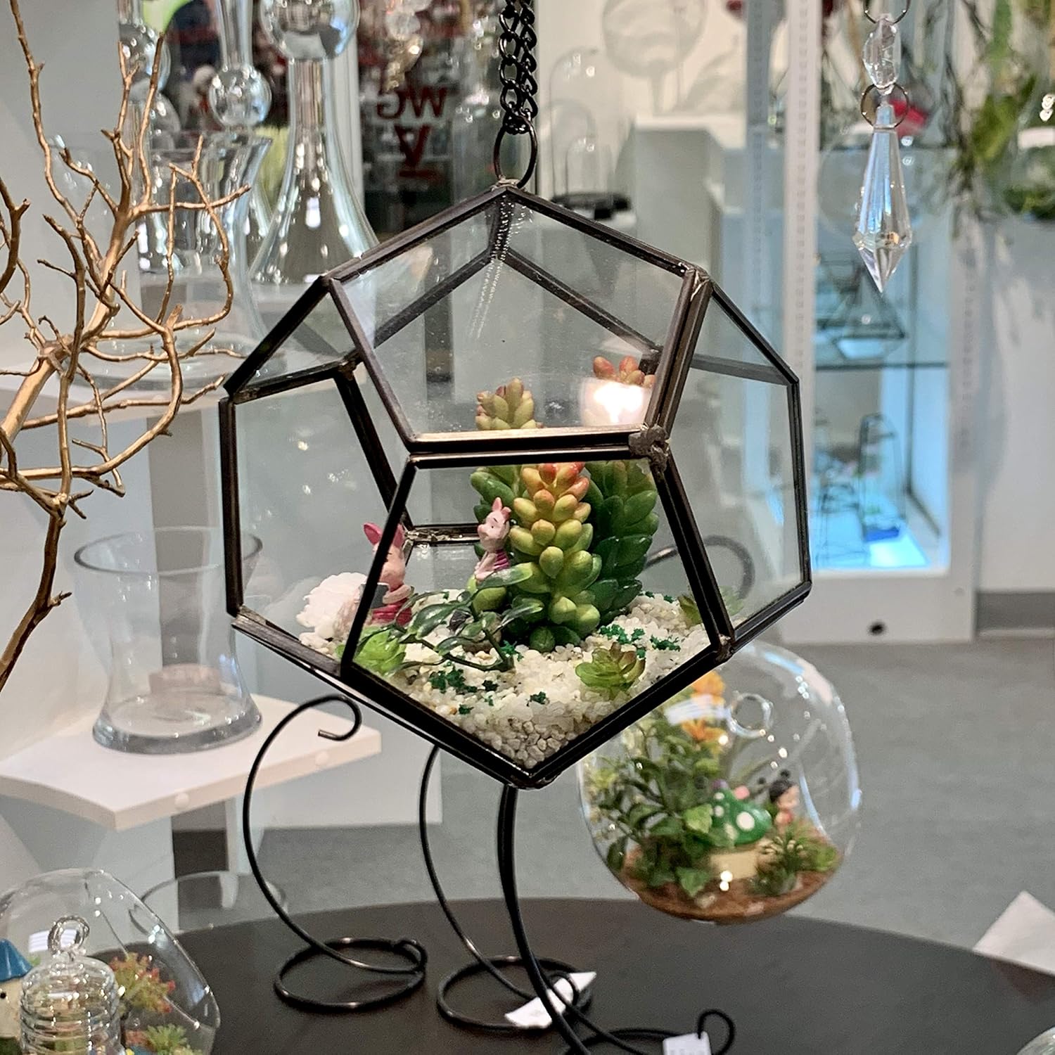 WGV Hanging Geometric Planter Terrarium Bulk Width 5.5' Height 6' Clear Glass Black Frame DIY Succulent air Plant Miniature Fairy Garden Windowsill Decor Globe 12 Pieces