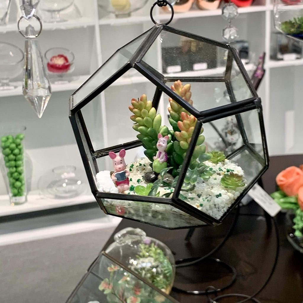 WGV Hanging Geometric Planter Terrarium Bulk Width 5.5' Height 6' Clear Glass Black Frame DIY Succulent air Plant Miniature Fairy Garden Windowsill Decor Globe 12 Pieces