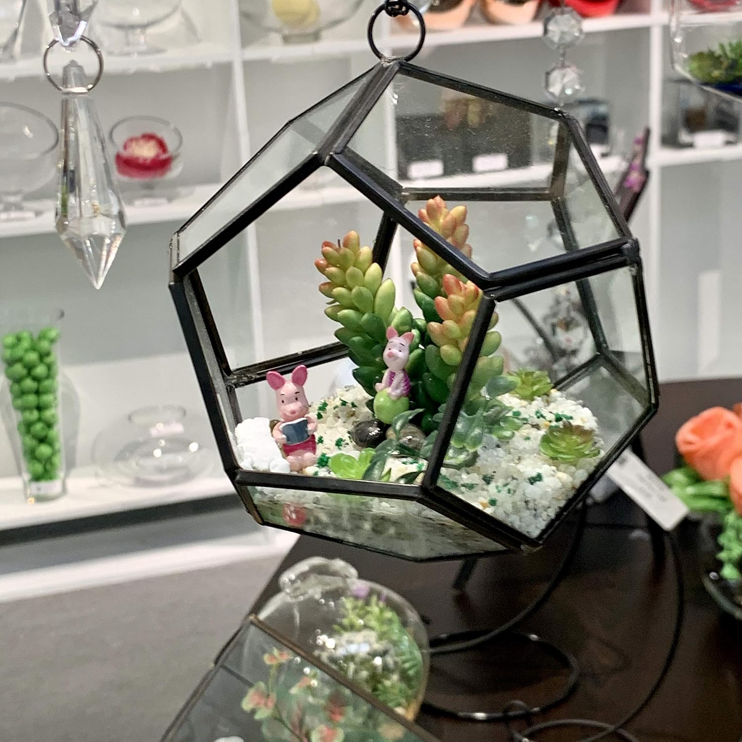 WGV Hanging Geometric Planter Terrarium Bulk Width 5.5' Height 6' Clear Glass Black Frame DIY Succulent air Plant Miniature Fairy Garden Windowsill Decor Globe 12 Pieces