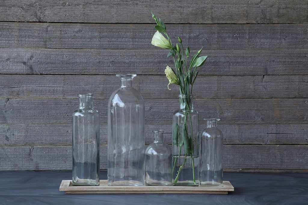 Creative Co-Op Set of 5 Vintage Bottle Vases on Wood Tray