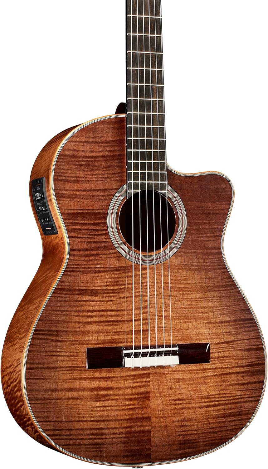 Cordoba Fusion 12 Nylon Guitar Cinnamon Burst
